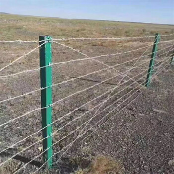 樂博刺線刺鐵絲公路刺網(wǎng)不銹鋼刺繩