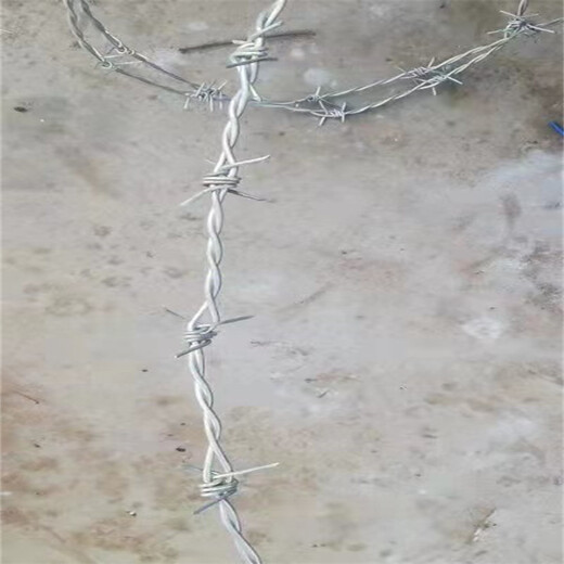 河北单股刺绳厂家供应湖南不锈钢铁蒺藜长沙热镀锌带刺铁丝网