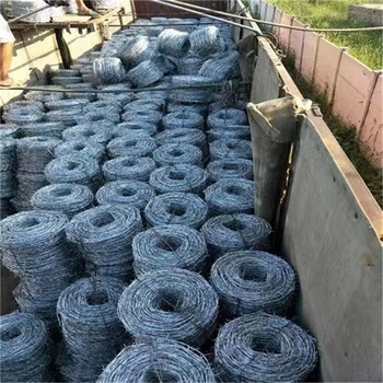 鍍鋅絲帶刺鐵絲網(wǎng)鐵刺鐵絲網(wǎng)鋼絲刺繩