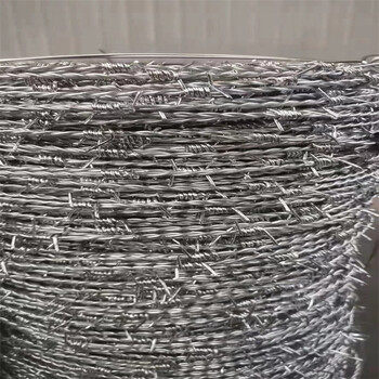 廣東正反擰刺繩廠家供應(yīng)廣州鍍鋅鐵絲網(wǎng)深圳鍍鋅鋼絲網(wǎng)