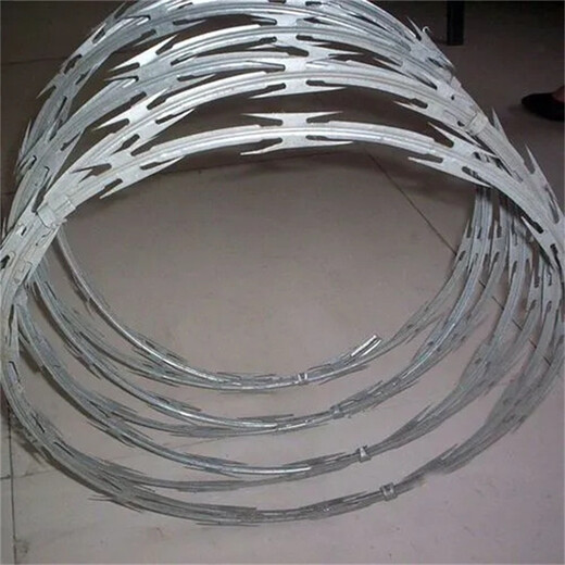河北刀片刺網(wǎng)廠家供應(yīng)圍墻防爬刺安全防護(hù)網(wǎng)圍墻學(xué)校小區(qū)防盜網(wǎng)