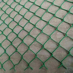 10mm粗养殖菱形活络网围栏铁丝菱形网镀锌铁丝勾花网