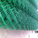 低碳钢丝菱形镀锌铁丝网操场铁丝围栏网绿色勾花护栏网