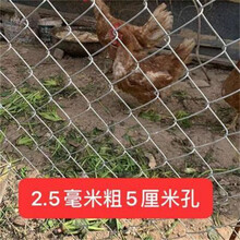 4米寬足球場(chǎng)鐵絲網(wǎng)家用圈羊隔離網(wǎng)體育館防護(hù)網(wǎng)圖片