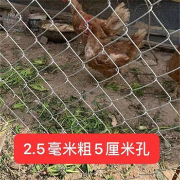 4米宽足球场铁丝网家用圈羊隔离网体育馆防护网