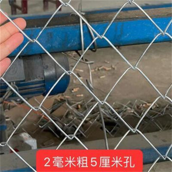 樂博熱鍍鋅圈地網包膠菱形圍網菱形包塑勾花網