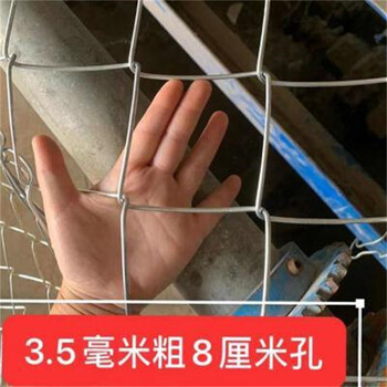 樂(lè )博學(xué)校菱形編織圍網(wǎng)鍍鋅鐵絲菱形網(wǎng)包塑收邊勾花網(wǎng)