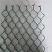 不锈钢丝煤矿养殖钢丝网植草喷播铁丝网果园养殖防护网