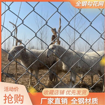 河北菱形編織網廠家供應宜春學校操場鐵絲圍欄網綠色勾花護欄網