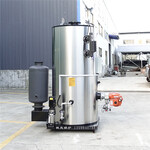 不锈钢容器蒸煮WNS系列0.5吨燃柴油蒸汽锅炉