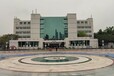 南沙區600人集體照+會議合影拍攝+集體照站架+大合照沖洗