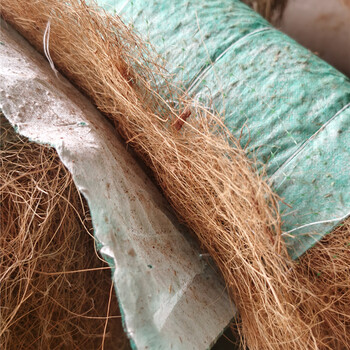 河道绿化抗冲纤维毯矿山植被护坡植草毯