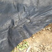 1米宽园艺防草地布编织型透气渗水保湿盖草布