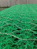 河堤綠化#草籽防護加筋麥克墊植草墊