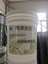 抗堿封閉底漆乳液長期現(xiàn)貨銷售