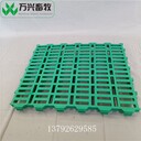 養(yǎng)羊漏糞地板羊塑料漏糞板標(biāo)準(zhǔn)化羊場漏糞板