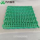 羊用漏糞板價(jià)格制作羊床羊圈用漏糞地板