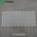 種雞用漏糞板廠(chǎng)家質(zhì)量好的塑料漏糞板