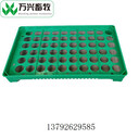 60枚雞蛋蛋格種蛋托盤生產(chǎn)廠家蛋托廠家批發(fā)