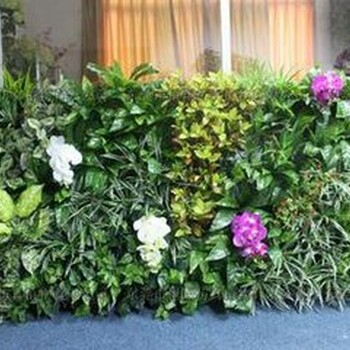 仿真植物墻北京植物墻設(shè)計(jì)