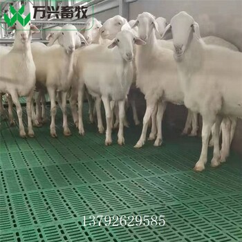 供应厂家羊床羊地板制作羊床