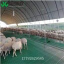 羊床生產廠家羊床漏糞板圖片羊地板