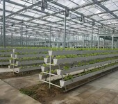 蔬菜高架无土栽培蔬菜种植槽种菜种菜的塑料槽种植蔬菜方法