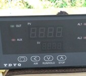 WXDZB-218113智能溫控儀YDYQ系列