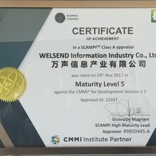 提供上海的CMMI5级认证与评估服务图片