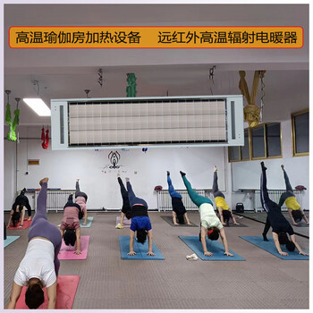 高溫輻射電熱器道赫SRJF-X-30瑜伽房加熱器