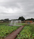 黎城公園程控噴泉緩解疲勞藝術(shù)效果好