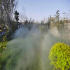 鹤岗景观造雾设备公司