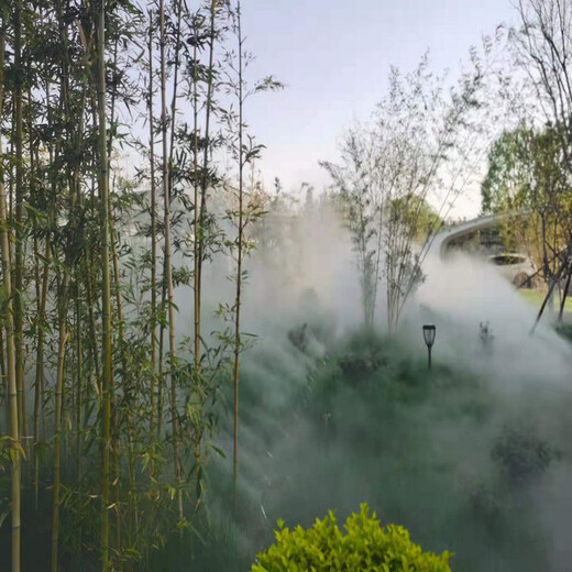 衢州景观造雾设备施工