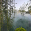 湘西景观造雾设备价格