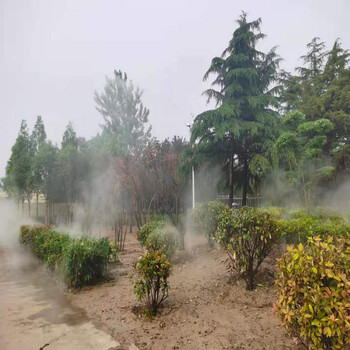 扬州人造雾设备安装