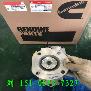 配套400KW發電機組水泵維修包4376118康明斯
