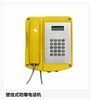 安徽化工防爆防水電話，擴音防潮電話機，SIP防水電話