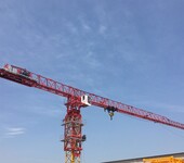 沈阳法库县QTZ80塔机及建筑起重机械市场详细分析
