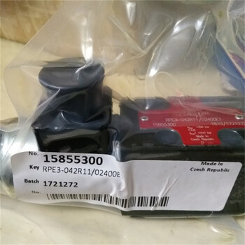 雅歌輝托斯RPEL1-043Z11/20500E1電磁閥現貨原裝