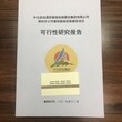 咸阳市立项报告/编写立项报告图片