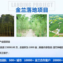 河南鶴壁項目計劃書本地編制公司/1v1對接