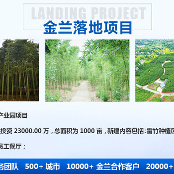 三門峽義馬市能源審計本地編制公司/編制要點
