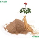 供應備案食品級人參提取物