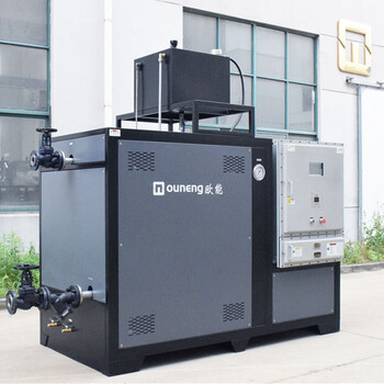 防爆導(dǎo)熱油爐高溫350度電加熱導(dǎo)熱油爐正壓防爆型導(dǎo)熱油爐