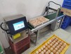 咸阳鸡蛋喷码机小字符油墨喷码机全自动打码喷码机厂家