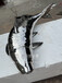 汉中水景镜面不锈钢锦鲤鱼雕塑房地产装饰雕塑小品厂家的形塑特点