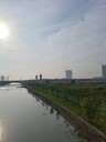 園林綠化工程竣工資料
