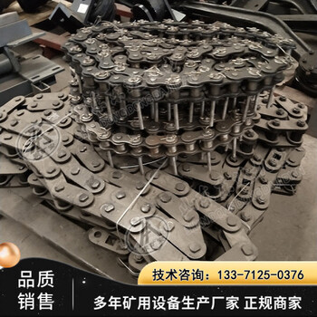 20B帶式給料機傳動(dòng)鏈條GLD800/5.5/S帶式給料機鏈條