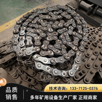 20B帶式給料機傳動(dòng)鏈條GLD800/5.5/S帶式給料機鏈條