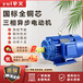 国标三相电机380V0.75kw1.1Kw1.5KW2.2KwYE2YE3YE4全铜芯